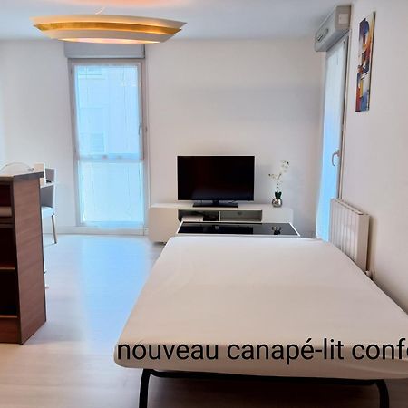 Ravissant Appartement T2 Proche Autoroute Et Centre-Ville Villefranche-sur-Saône Eksteriør billede