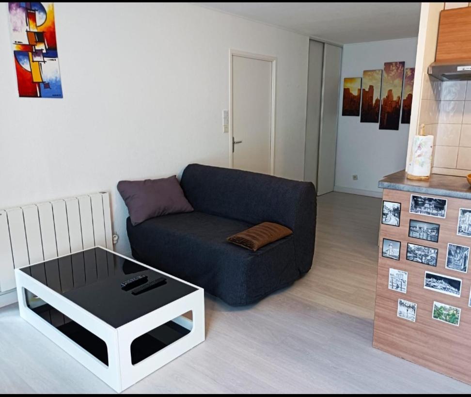 Ravissant Appartement T2 Proche Autoroute Et Centre-Ville Villefranche-sur-Saône Eksteriør billede