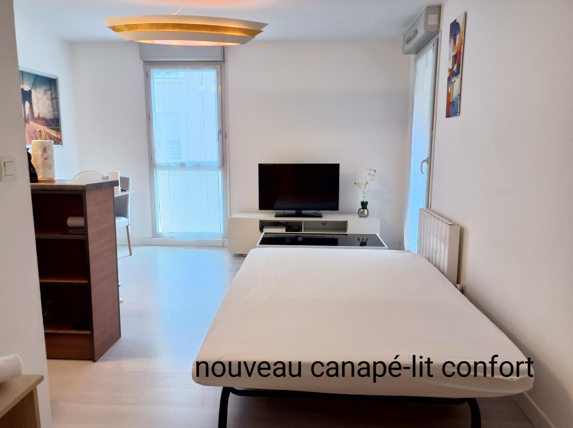 Ravissant Appartement T2 Proche Autoroute Et Centre-Ville Villefranche-sur-Saône Eksteriør billede